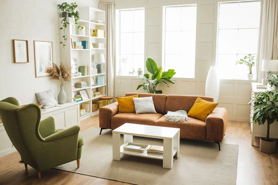 Clean Living Spaces