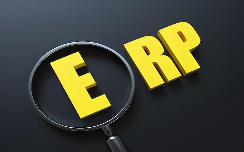 erp adoption
