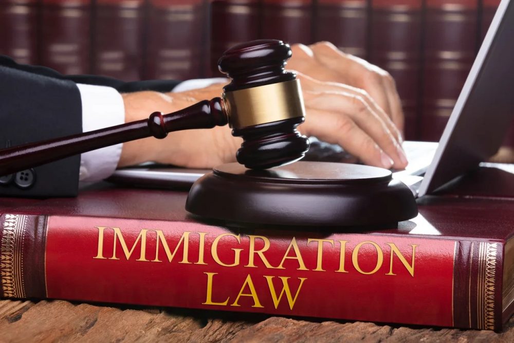 immigration lawyer