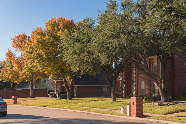 dallas home efficiency