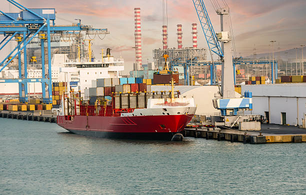 cruise transfers orlando