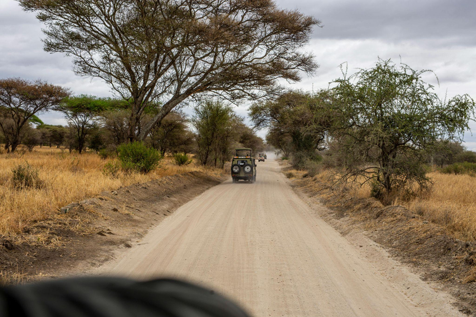 Go on Safari in Tanzania