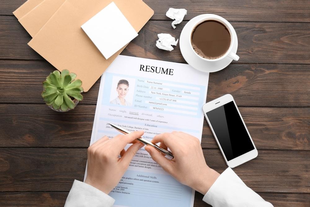 professional cv maker online