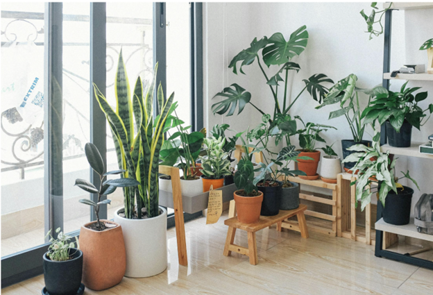 indoor air quality hacks