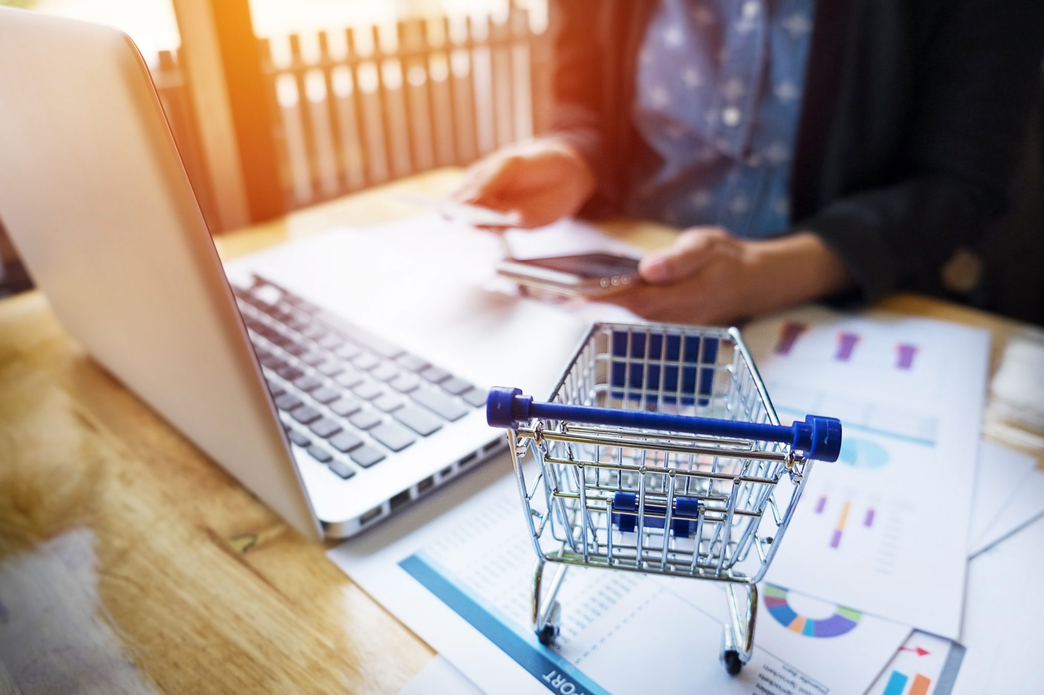 How to Take Your Offline Business Online in India
