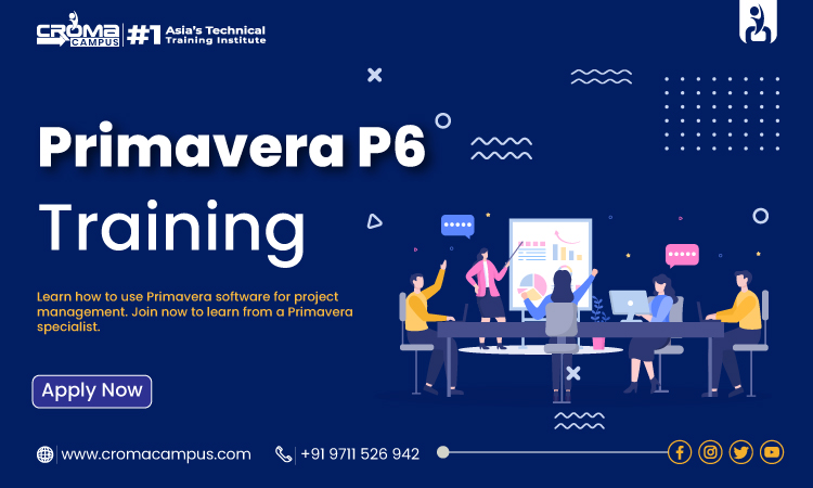 primavera p6 training