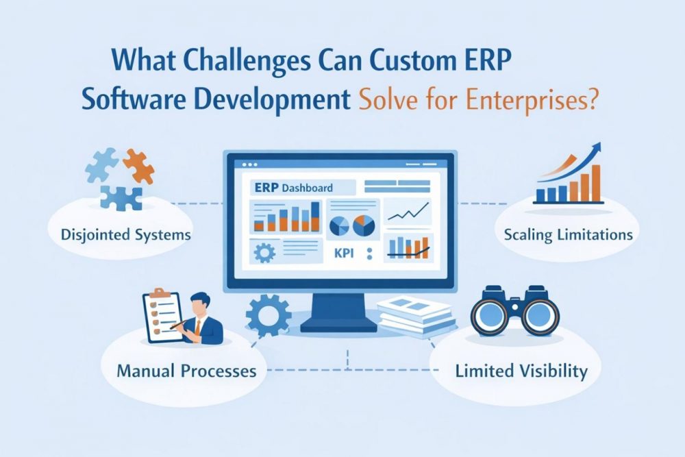custom erp software