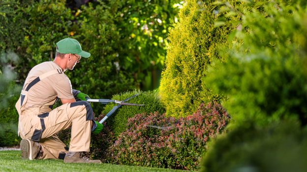 gardener in adelaide