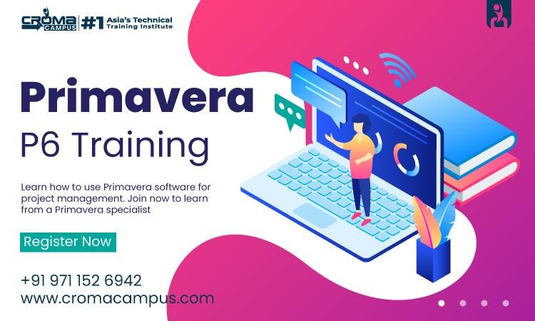 primavera features for large companies