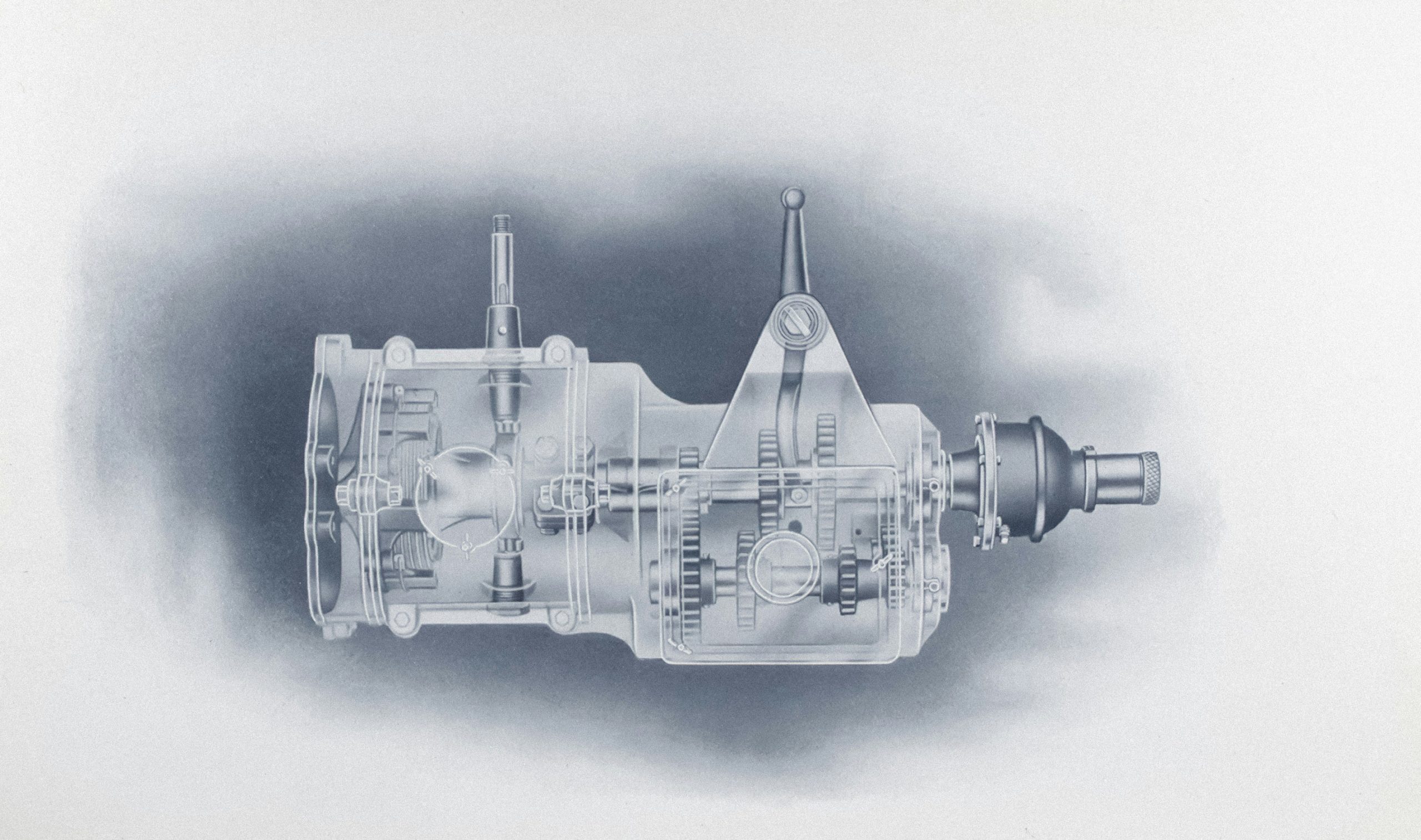 stainless steel rotary gear pump