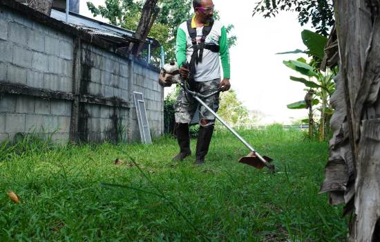 garden maintenance in adelaide