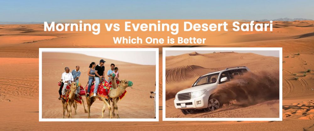 morning vs evening desert safari