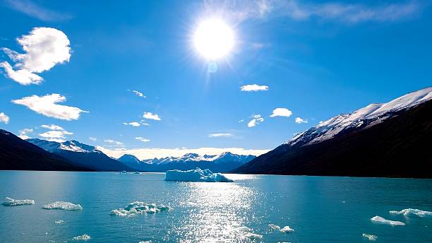 santa cruz moving companies