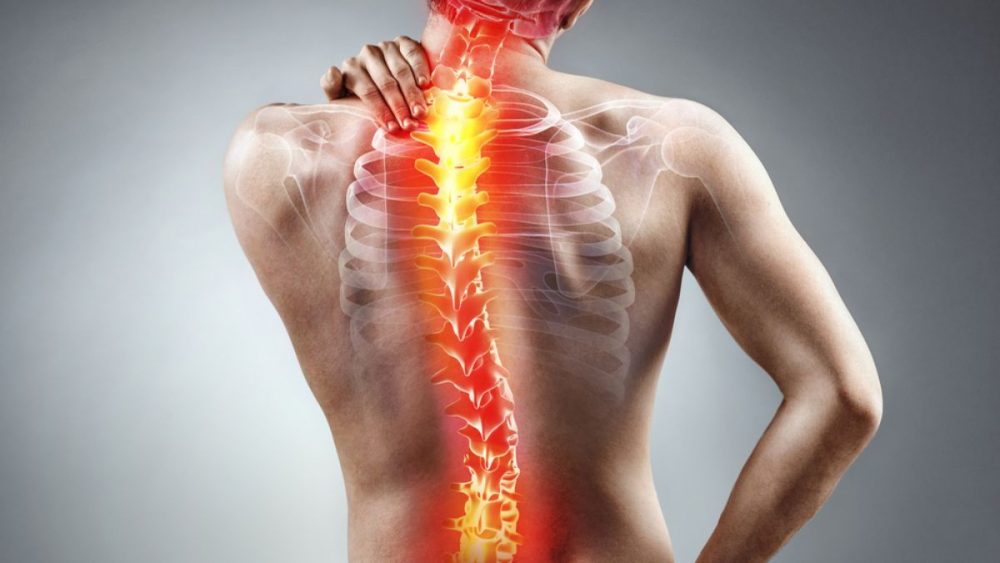back pain causes