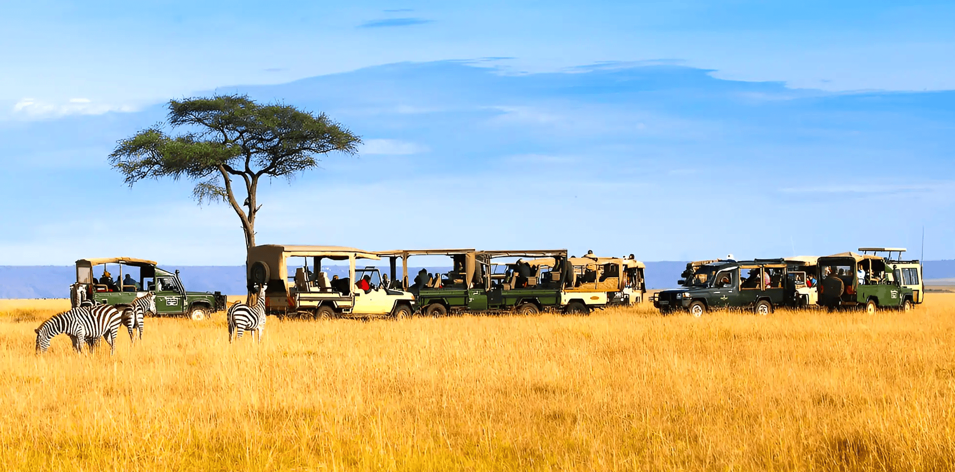 kenya travel guide