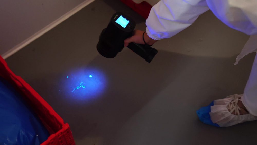 biofilm monitoring