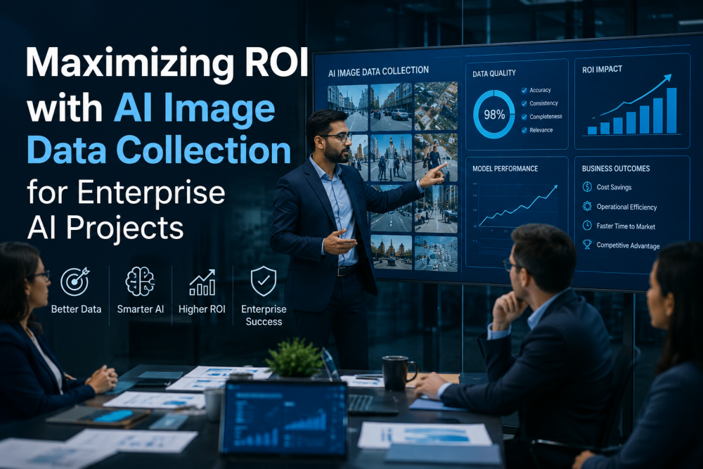 ai image data collection roi
