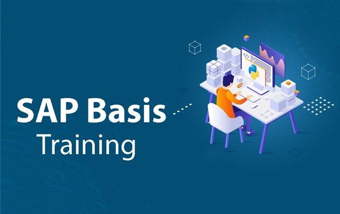 sap basis transformation