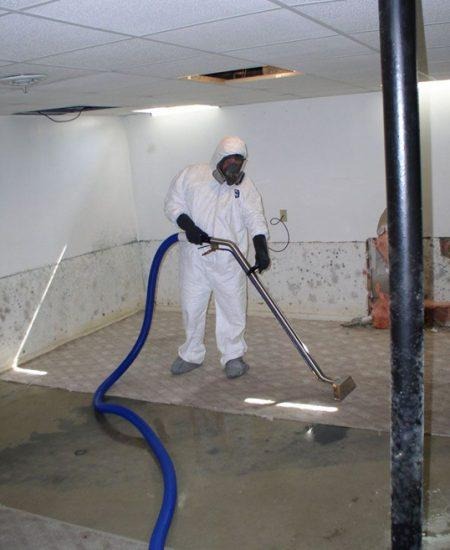 lead asbestos testing before renovation