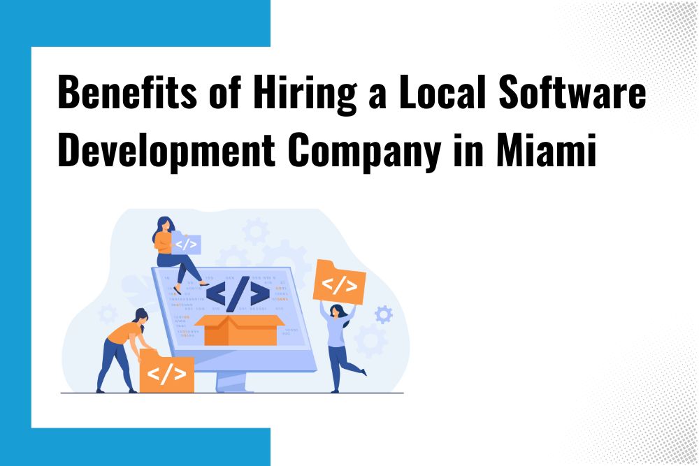 local software development