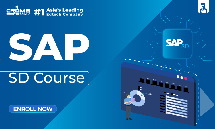 sap sd roadmap for beginners