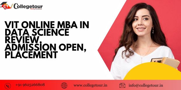 vit online mba data science