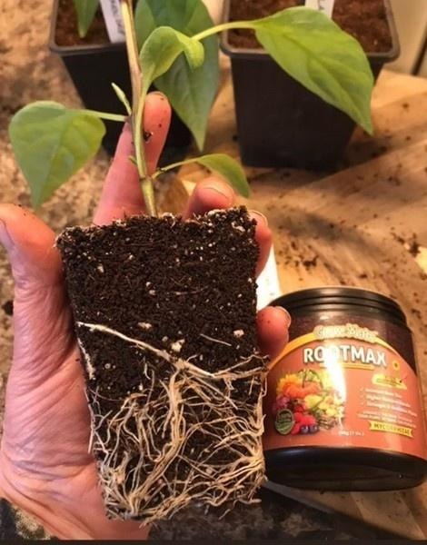 rootmax fertilizer