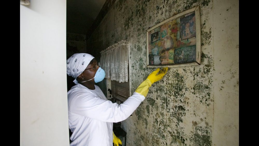 mold testing in california
