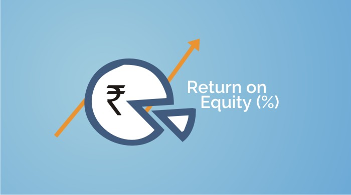 return on equity ratio