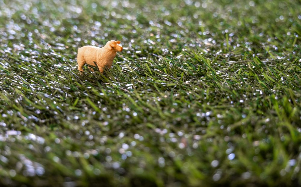 Artificial Turf