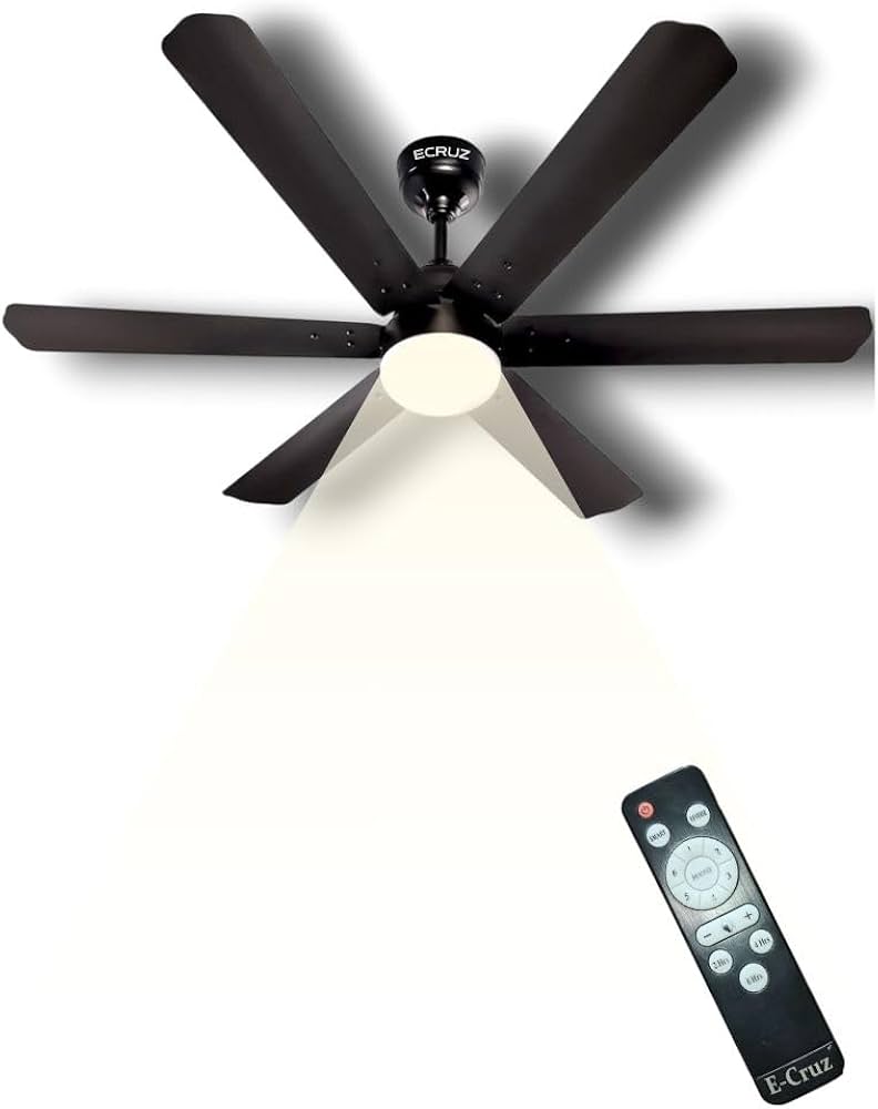 BLDC Motor Fan