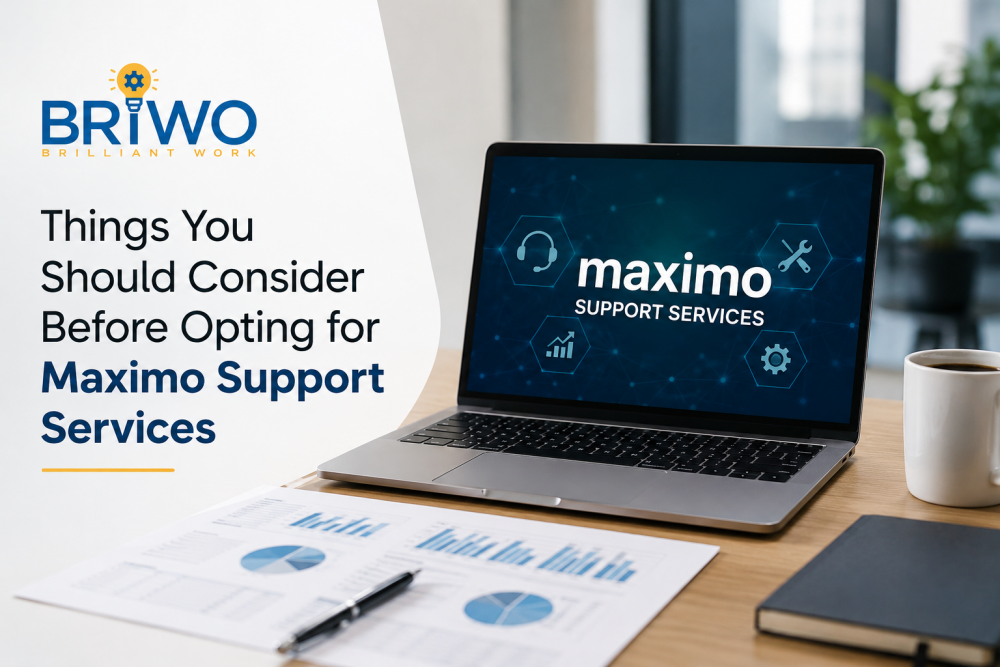 maximo support services