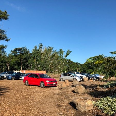 olowalu beach maui
