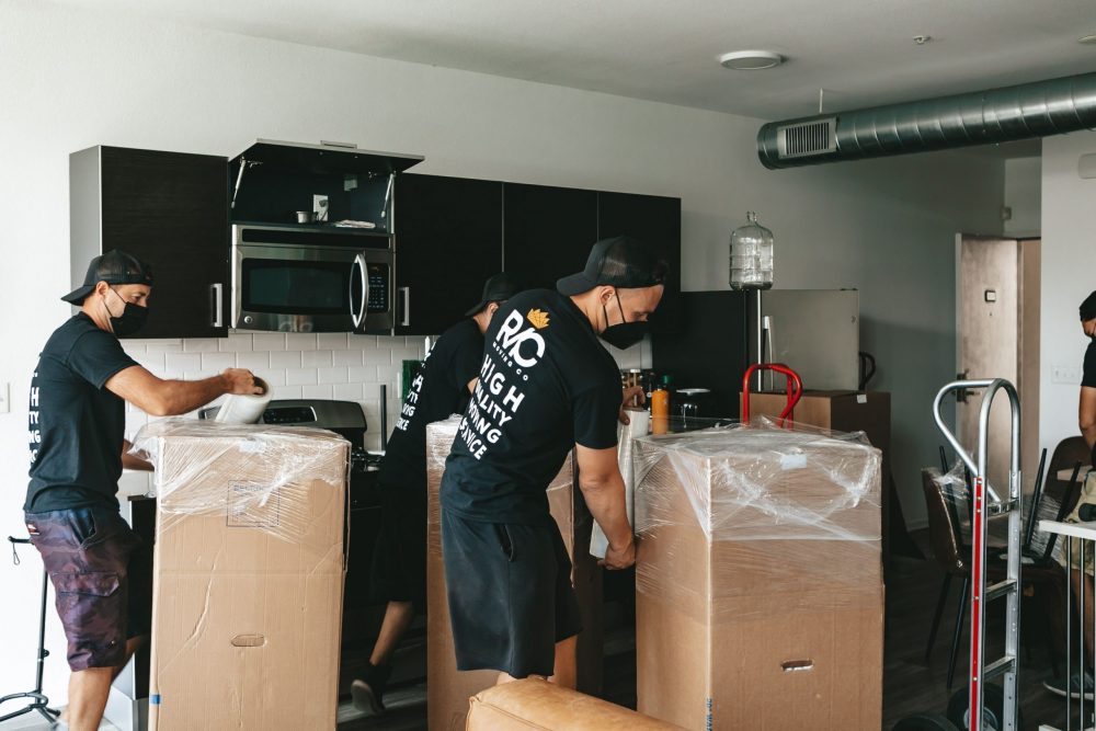 professional movers